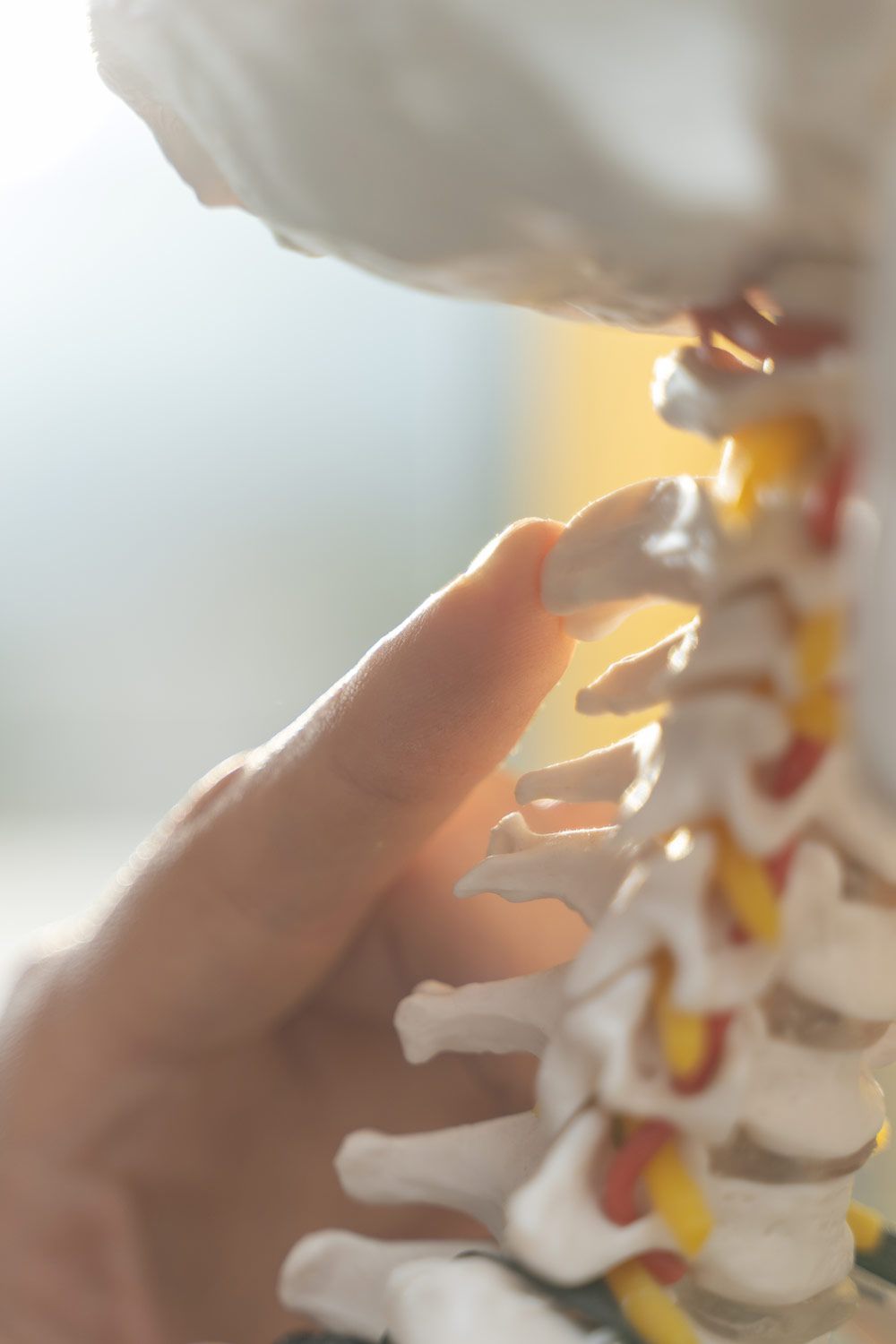 Physio-Top-Marl_Behandlungsraum_Veranschaulichungjpg.jpg